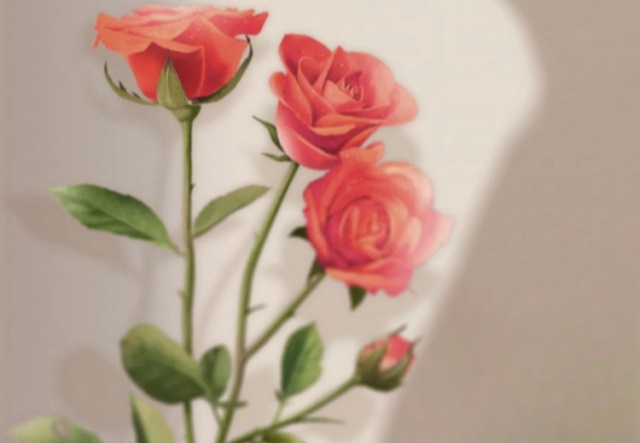 祝天下女神們節(jié)日快樂！??！